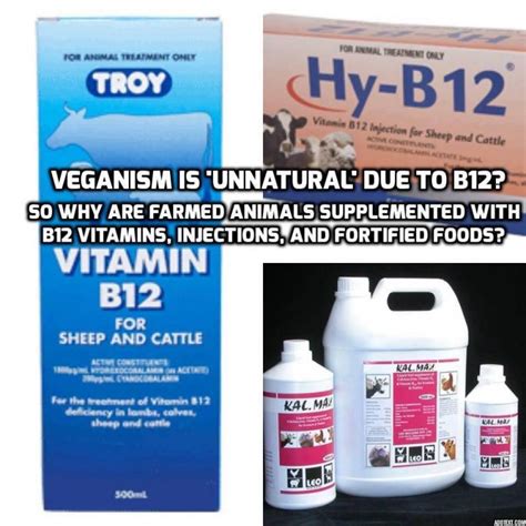 Are Farmed Animals B12 Deficirnt